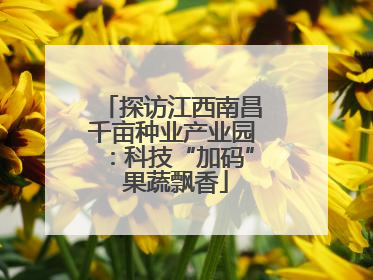 探访江西南昌千亩种业产业园：科技“加码” 果蔬飘香